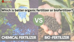 Which is better organic fertilizer or biofertilizer
